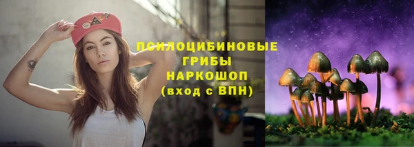 герыч Переславль-Залесский
