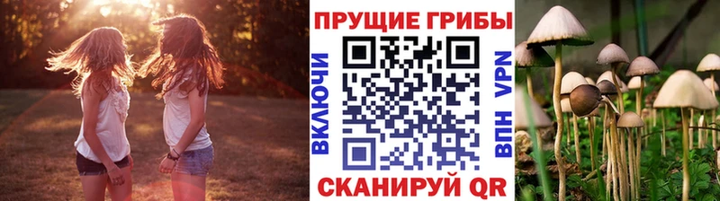 где купить наркоту Купино MEGA зеркало Галлюциногенные грибы MAGIC MUSHROOMS