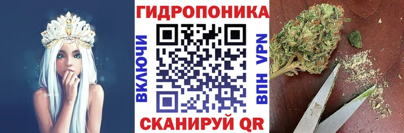 Бошки марихуана индика  Купино 